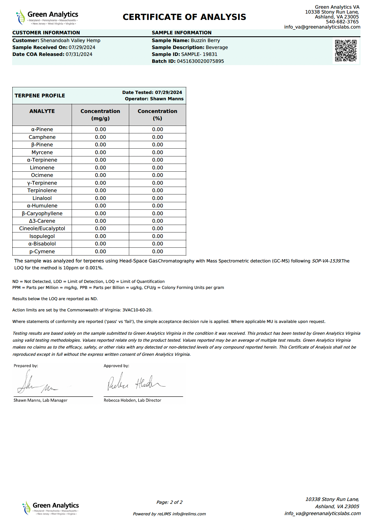 Buzzin' Berry - THC + CBD Infused Mocktail Drink