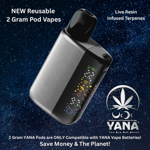 2g Reusable Vapes - YANA Pod Included